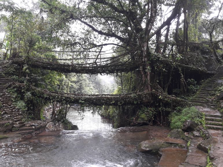 meghalaya cherrapunji tour